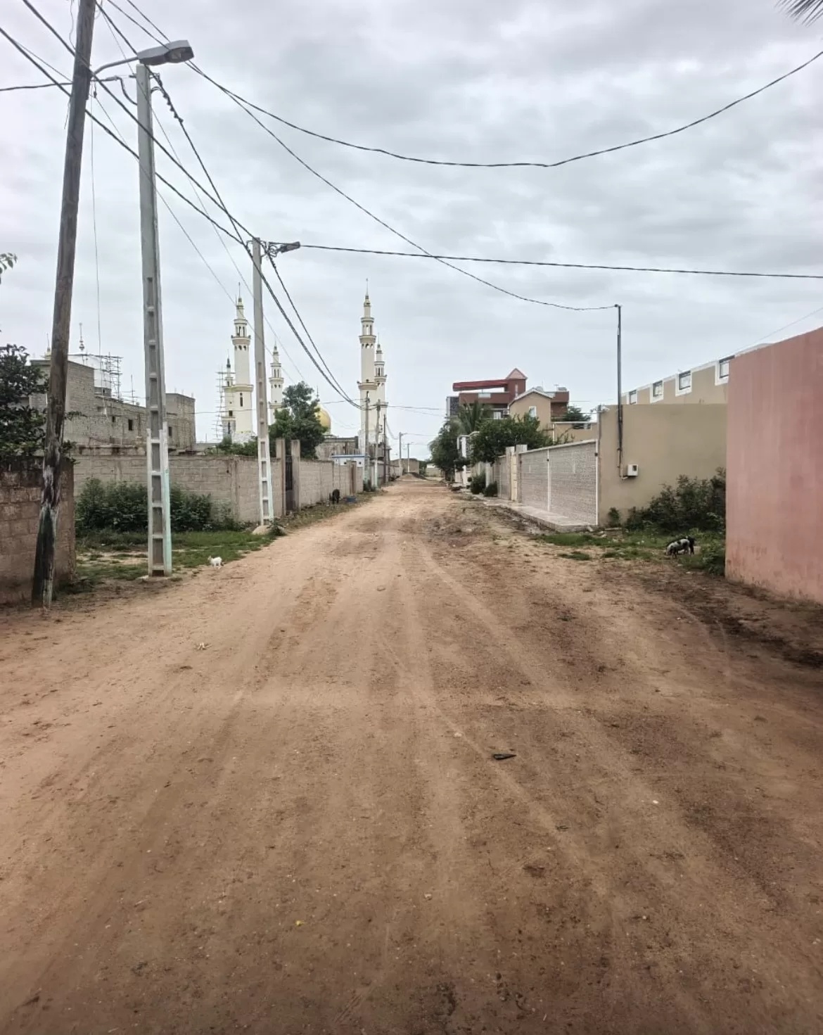 Sokone : à l’approche du Gamou de Chérif Omar Aidara, le comité d’organisation alerte sur l’état de la route et l’éclairage
